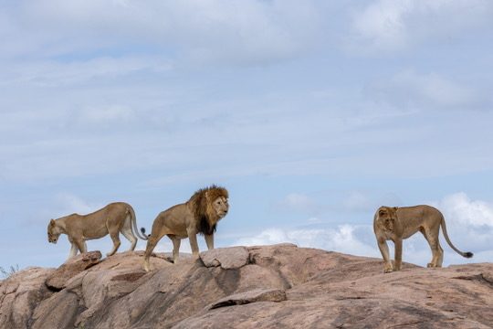 To the Ngorongoro Highlands - Day 2